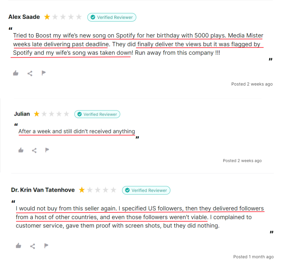 Media Mister Reviews on Reviews.io
