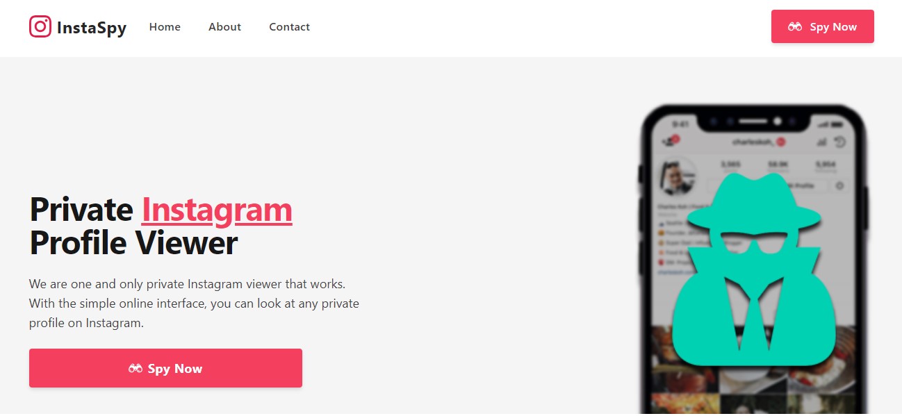 InstaSpy IG Story Viewer